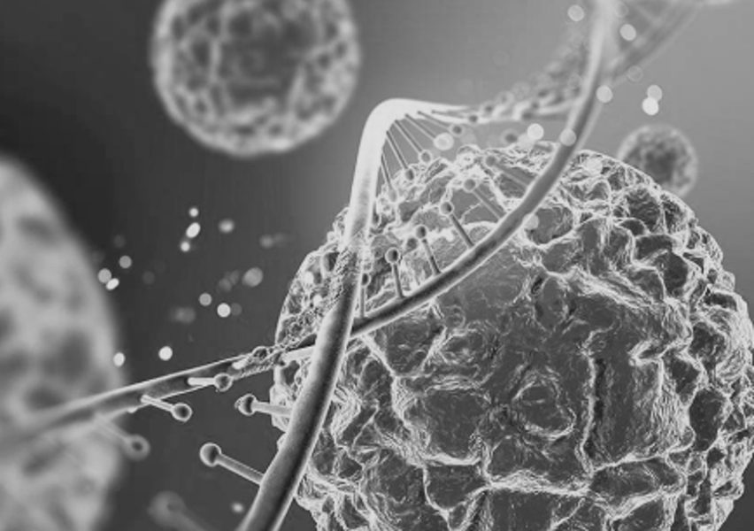 Cellules et brin d'ADN en noir et blanc